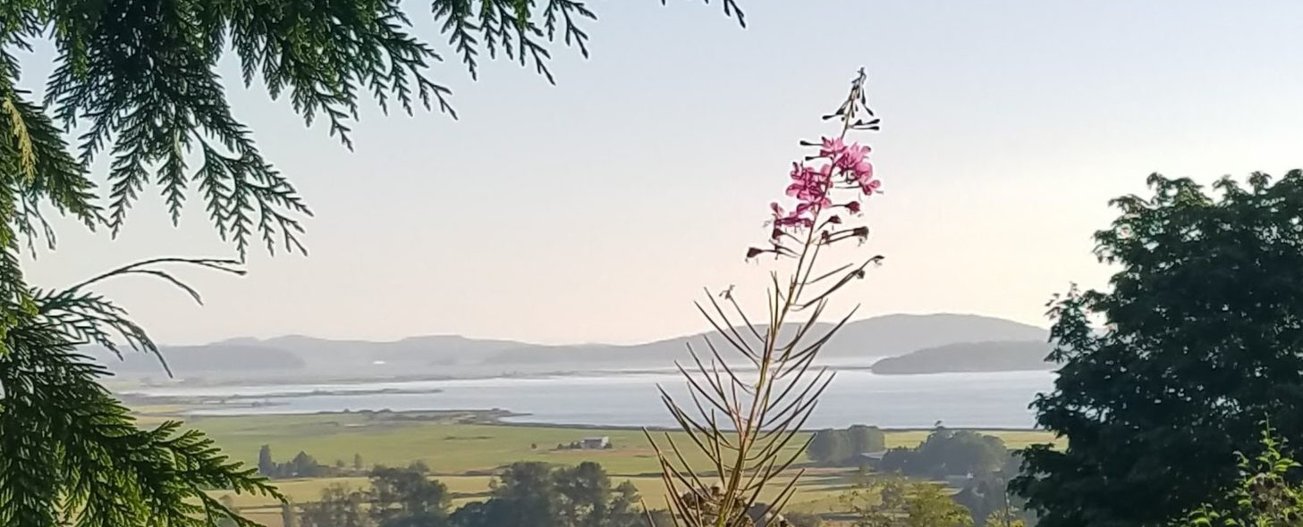 The view from Colony Mountain